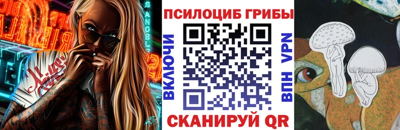 Купить закладки  Суоярви  Псилоцибиновые грибы Psilocybe 